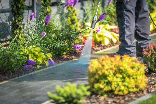 Best Restaurant Pressure Washing  in Keller, TX
